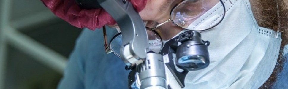 Na co zwrócić uwagę przy zakupie mikroskopu zabiegowego?