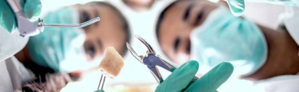 NAJLEPSZE NA ŚWIECIE SZKOŁY DENTYSTYCZNE W 2022 ROKU