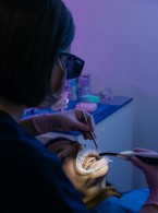 SPECJALISTA RADZI: Leczenie endodontyczne a ortodoncja