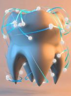 SPECJALISTA RADZI. Terminologia w radiologii stomatologicznej - dlaczego precyzja ma znaczenie